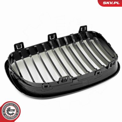 GRILA RADIATOR ESEN SKV 66SKV006 8