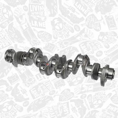 ARBORE COTIT ET ENGINETEAM HK0211 2