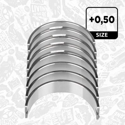 SET RULEMT ARBORE COTIT