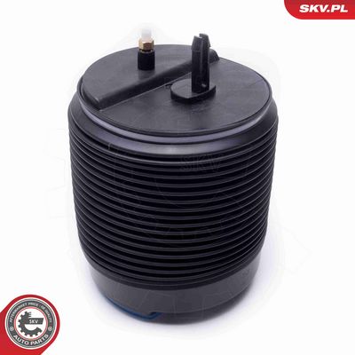 ARC PNEUMATIC DIRECTIE ESEN SKV 58SKV073 2