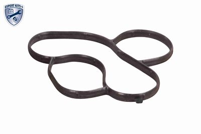 SET POMPA APA + CUREA DINTATA VEMO V15992129 4