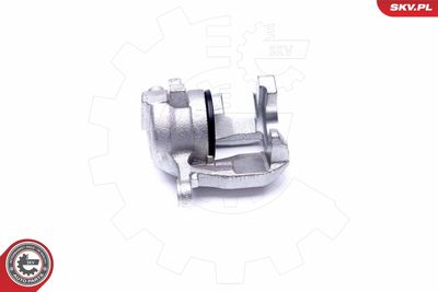 Brake Caliper 45SKV661