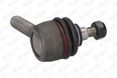 CAP DE BARA BIRTH TS0282 9