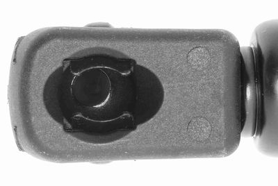 GASFEDER KOFFER-/LADERAUM VAICO V220219 1