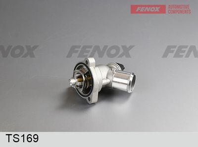 термостат, охладителна течност FENOX TS169