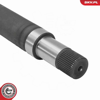 PLANETARA ESEN SKV 40SKV005 2