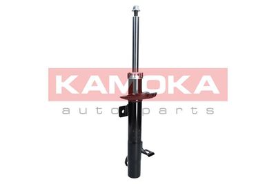 Shock Absorber 2000259