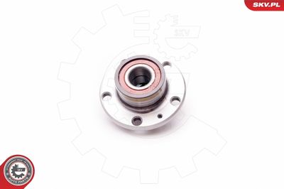 Wheel Bearing Kit 29SKV004