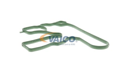 DICHTUNG KURBELGEHäUSEENTLüFTUNG VAICO V103884 19