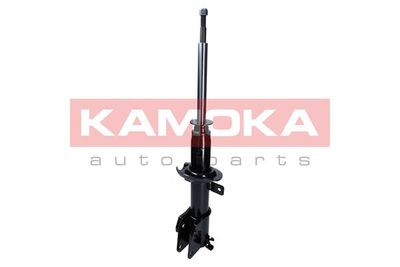 Shock Absorber 2000485