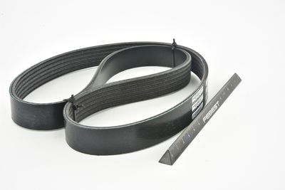 CUREA TRANSMISIE CU CANELURI FEBEST 881286L883 43