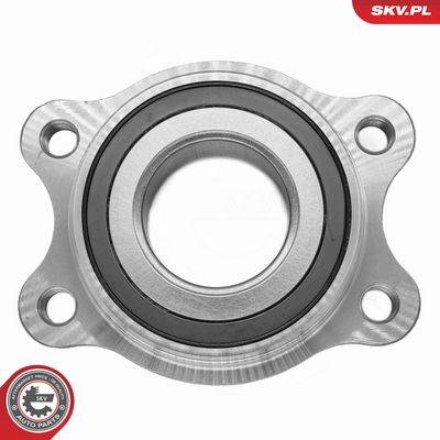 SET RULMENT ROATA ESEN SKV 29SKV702 6