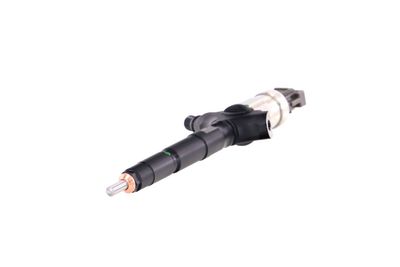 INJECTOR REMANTE 002003001953R 61