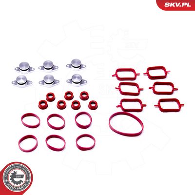 Tarpiklių rinkinys, įsiurbimo kolektorius