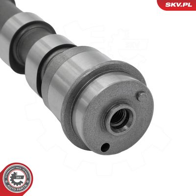 Vačkový hriadeľ ESEN SKV 80SKV082