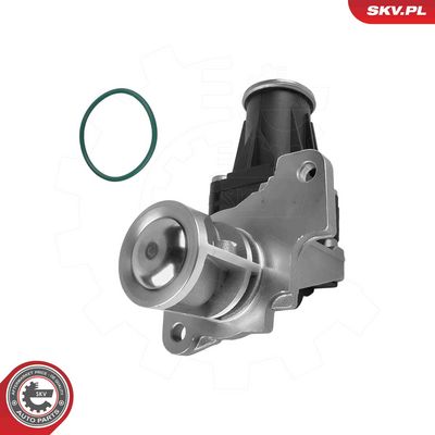 SUPAPA EGR ESEN SKV 14SKV318