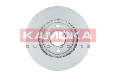 Brake Disc 1031059