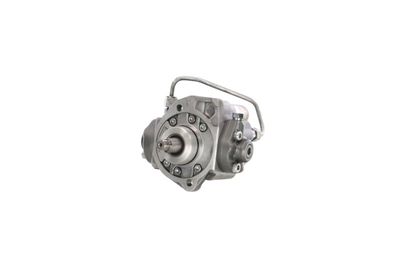 POMPA DE INALTA PRESIUNE REMANTE 002002001380R 63