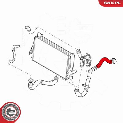 FURTUN EAR SUPRAALIMENTARE ESEN SKV 24SKV223 2