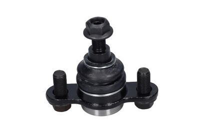 Kavo Parts Šarnyras / girgždukas