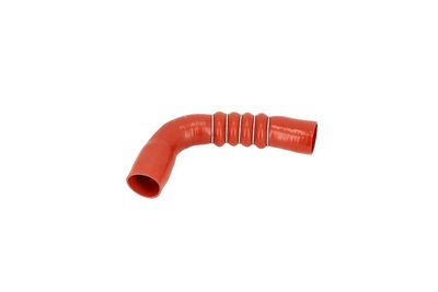 Charge Air Hose 166379