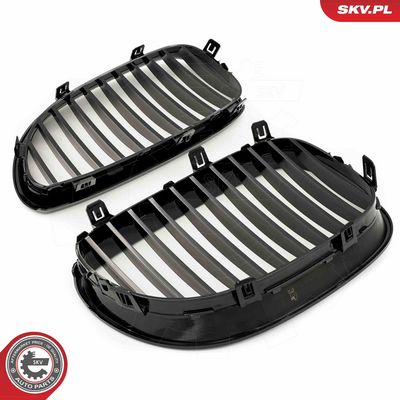GRILA RADIATOR ESEN SKV 66SKV165 3