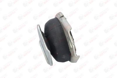 SUPORT MOTOR BIRTH 5349 10