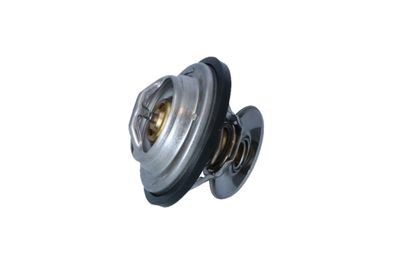 TERMOSTAT LICHID RACIRE NRF 725194 16