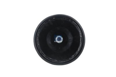 Metallipalje, ilmajousitus DT Spare Parts 7.12091 – IVECO