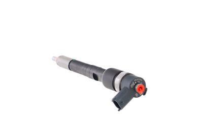 INJECTOR REMANTE 002003001711R 20