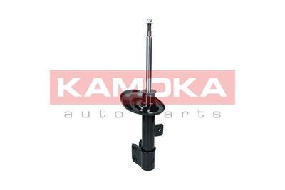 Shock Absorber 2000166