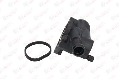 FLANSA LICHID RACIRE BIRTH 8696 11