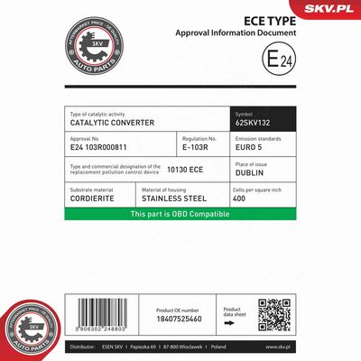 CATALIZATOR ESEN SKV 62SKV132 6