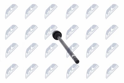 PLANETARA NTY NPWCH021 33