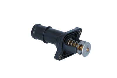 TERMOSTAT LICHID RACIRE NRF 725177 31