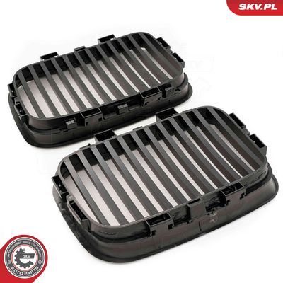 GRILA RADIATOR ESEN SKV 66SKV046 3