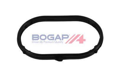 BOGAP Tarpiklis, įsiurbimo kolektorius