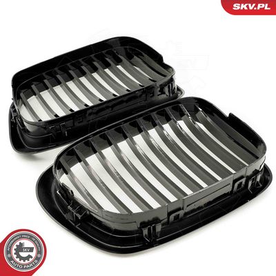 GRILA RADIATOR ESEN SKV 66SKV156 3