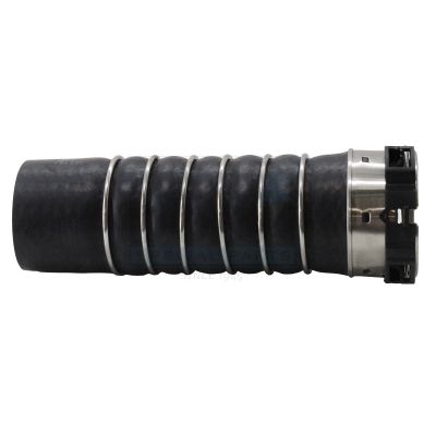 FURTUN EAR SUPRAALIMENTARE