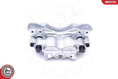 Brake Caliper 45SKV221