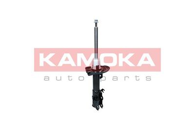 Shock Absorber 2000023