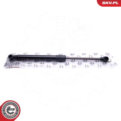 Dujinė spyruoklė, bagažinė