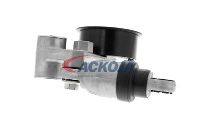 INTINZATOR CUREA TRANSMISIE ACKOJA A520369 45