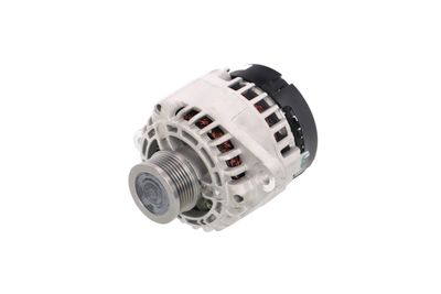 GENERATOR / ALTERNATOR REMANTE 011003000406R 7