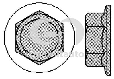 Комплект болтов головки цилидра GUARNITAUTO 701005-1022 для ALFA ROMEO AR
