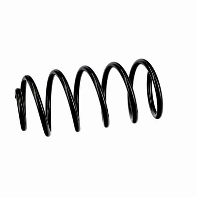 ARC SPIRAL EIBACH R10814 18