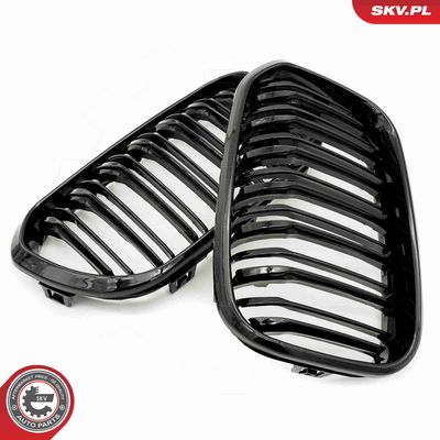 GRILA RADIATOR ESEN SKV 66SKV021 2