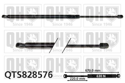 Газовая пружина, крышка багажник QUINTON HAZELL QTS828576 для CITROËN C4