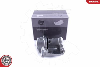 Brake Caliper 55SKV171