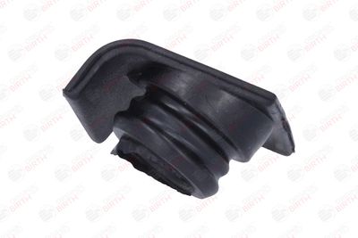 BUSON UMPLERE ULEI BIRTH 8177 8